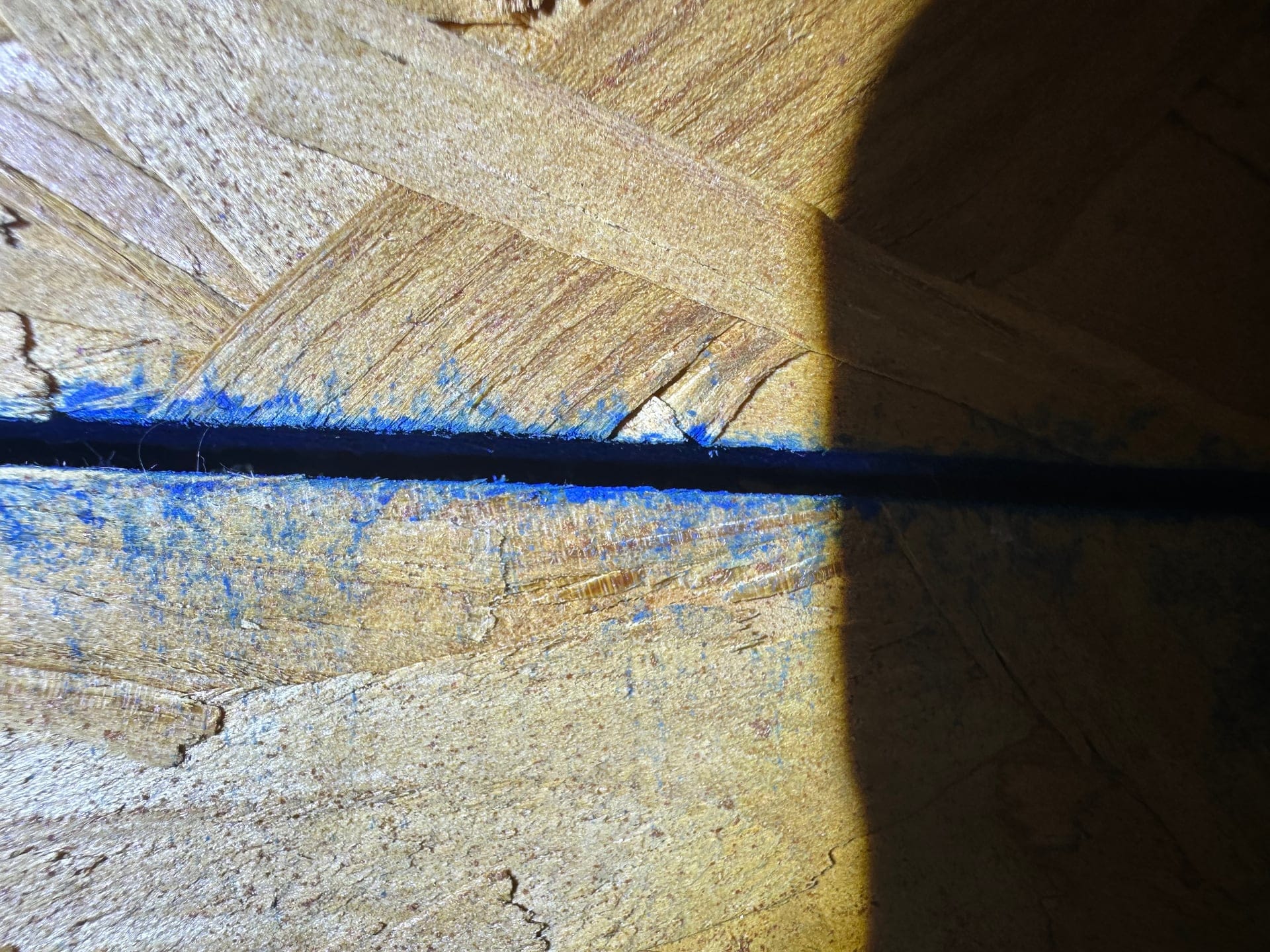 Wind mitigation inspection in Crystal River, Florida